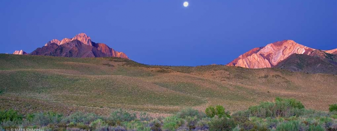 SNARL moon over the meadow between rocky mountains