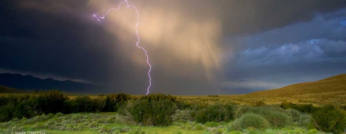 SNARL lightning on the meadow