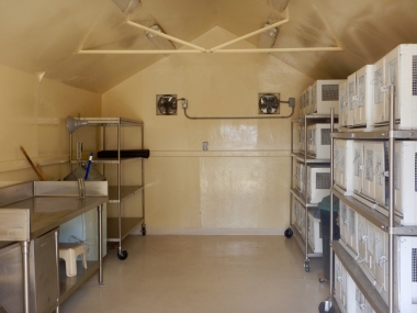 Mammal Room interior