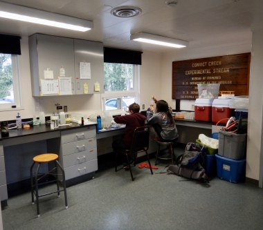 Main Lab interior