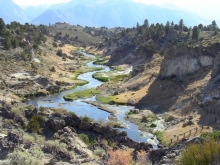 Creek at SNARL