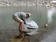 Researcher setting emergence trap