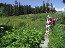 Group of people hiking