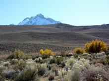 Snow mountain in the distance