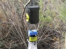 Mosquito trap