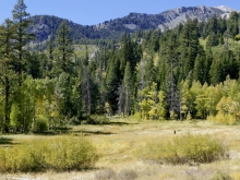 View of Valentine Camp site