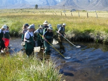 Group fishing