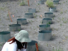 Researcher setting up equipment