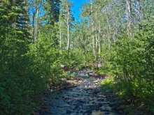 Valentine Camp creek