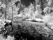 Black and white photo of snow landscape